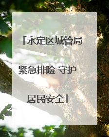 永定区城管局紧急排险 守护居民安全