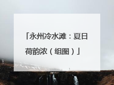 永州冷水滩：夏日荷韵浓（组图）