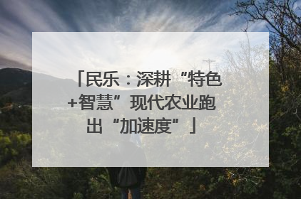 民乐：深耕“特色+智慧”现代农业跑出“加速度”