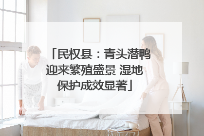 民权县：青头潜鸭迎来繁殖盛景 湿地保护成效显著
