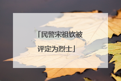 民警宋祖钦被评定为烈士
