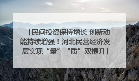 民间投资保持增长 创新动能持续增强！河北民营经济发展实现“量”“质”双提升