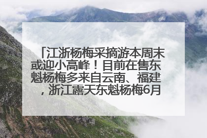 江浙杨梅采摘游本周末或迎小高峰！目前在售东魁杨梅多来自云南、福建，浙江露天东魁杨梅6月中旬大量上市