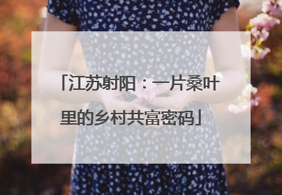 江苏射阳：一片桑叶里的乡村共富密码