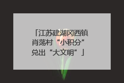 江苏建湖冈西镇肖荡村“小积分”兑出“大文明”
