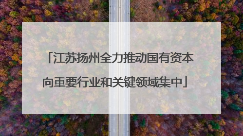 江苏扬州全力推动国有资本向重要行业和关键领域集中