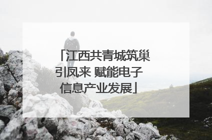 江西共青城筑巢引凤来 赋能电子信息产业发展