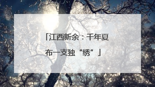 江西新余：千年夏布一支独“绣”