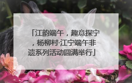 江韵端午，趣意探宁，杨柳村·江宁端午非遗系列活动圆满举行
