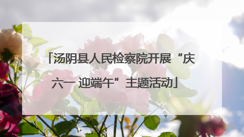 汤阴县人民检察院开展“庆六一 迎端午”主题活动