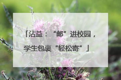 沾益：“邮”进校园，学生包裹“轻松寄”