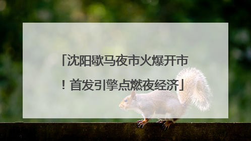 沈阳歇马夜市火爆开市！首发引擎点燃夜经济