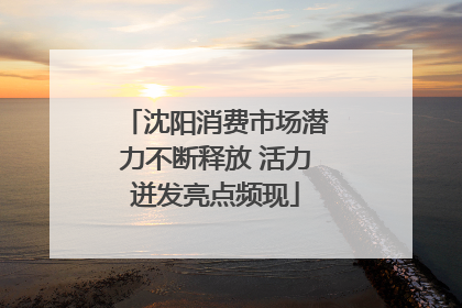 沈阳消费市场潜力不断释放 活力迸发亮点频现