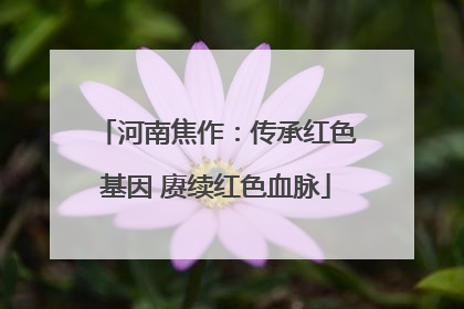 河南焦作：传承红色基因 赓续红色血脉