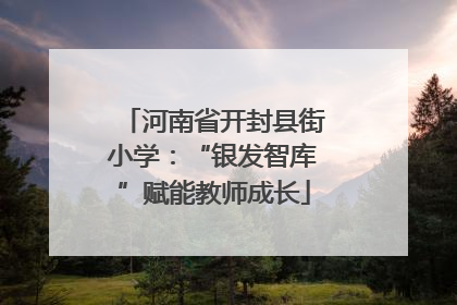 河南省开封县街小学：“银发智库”赋能教师成长