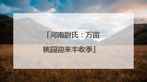 河南尉氏：万亩桃园迎来丰收季