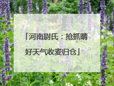 河南尉氏：抢抓晴好天气收麦归仓
