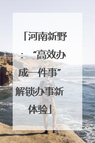 河南新野：“高效办成一件事”解锁办事新体验