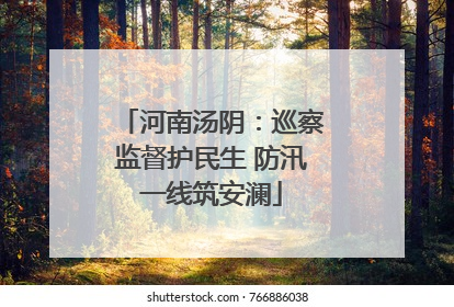 河南汤阴：巡察监督护民生 防汛一线筑安澜