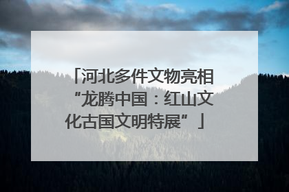 河北多件文物亮相“龙腾中国：红山文化古国文明特展”