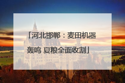 河北邯郸：麦田机器轰鸣 夏粮全面收割