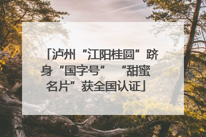 泸州“江阳桂圆”跻身“国字号” “甜蜜名片”获全国认证