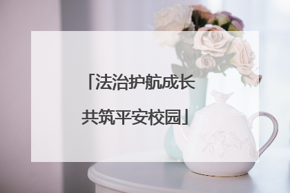 法治护航成长 共筑平安校园