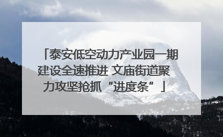 泰安低空动力产业园一期建设全速推进 文庙街道聚力攻坚抢抓“进度条”