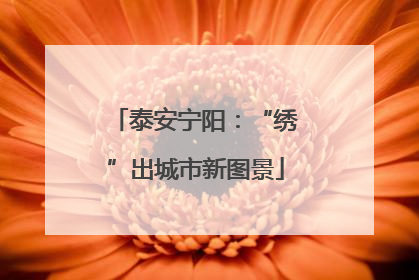 泰安宁阳：“绣”出城市新图景