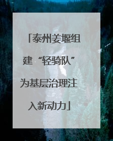 泰州姜堰组建“轻骑队”为基层治理注入新动力
