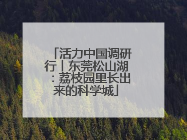 活力中国调研行丨东莞松山湖：荔枝园里长出来的科学城