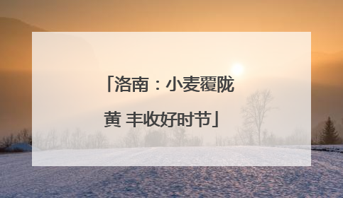 洛南：小麦覆陇黄 丰收好时节