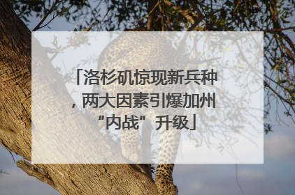 洛杉矶惊现新兵种，两大因素引爆加州“内战”升级