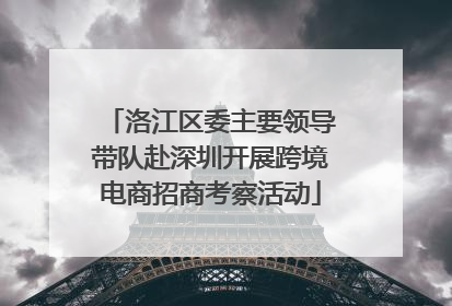洛江区委主要领导带队赴深圳开展跨境电商招商考察活动