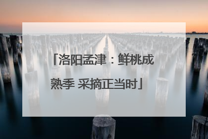 洛阳孟津：鲜桃成熟季 采摘正当时