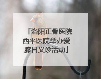 洛阳正骨医院西平医院举办爱膝日义诊活动