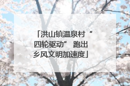 洪山镇温泉村“四轮驱动” 跑出乡风文明加速度