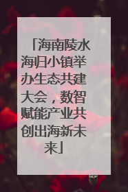 海南陵水海归小镇举办生态共建大会，数智赋能产业共创出海新未来