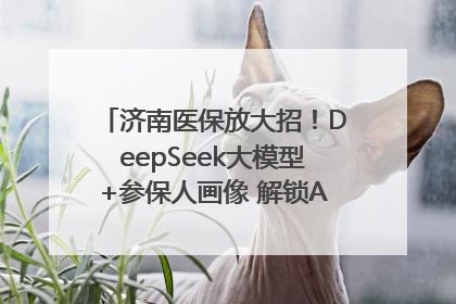 济南医保放大招！DeepSeek大模型+参保人画像 解锁AI医保管家新体验