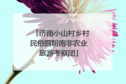 济南小山村乡村民俗圈粉南非农业旅游考察团