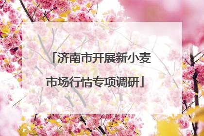 济南市开展新小麦市场行情专项调研