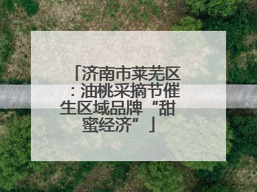 济南市莱芜区：油桃采摘节催生区域品牌“甜蜜经济”