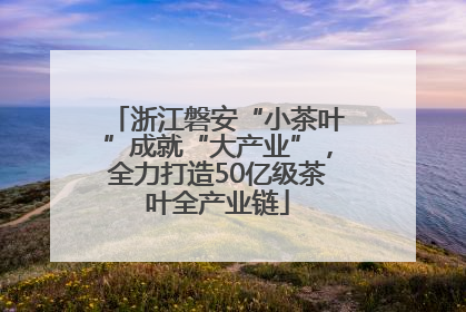 浙江磐安“小茶叶”成就“大产业”，全力打造50亿级茶叶全产业链