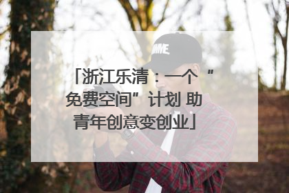 浙江乐清：一个“免费空间”计划 助青年创意变创业