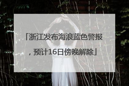 浙江发布海浪蓝色警报，预计16日傍晚解除
