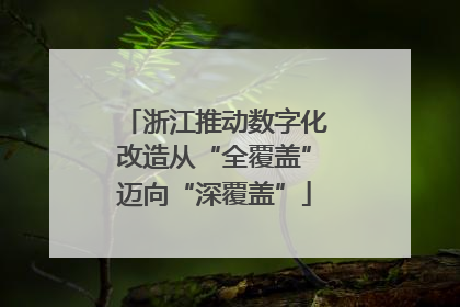 浙江推动数字化改造从“全覆盖”迈向“深覆盖”