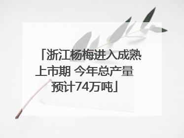 浙江杨梅进入成熟上市期 今年总产量预计74万吨