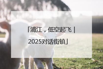 浦江，低空起飞｜2025对话街镇
