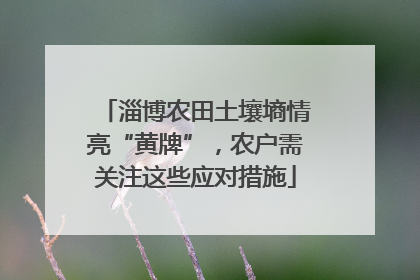 淄博农田土壤墒情亮“黄牌”，农户需关注这些应对措施