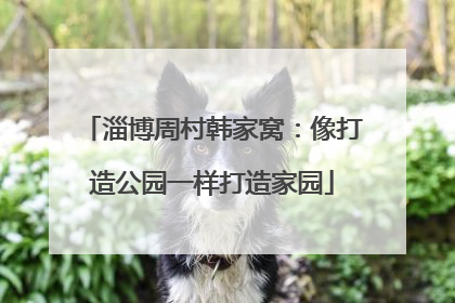 淄博周村韩家窝：像打造公园一样打造家园